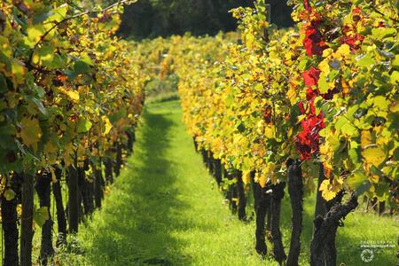 Schaukel für unseren Spielplatz